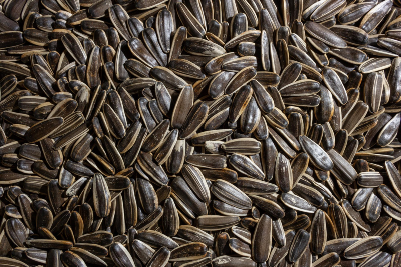 Sunflower Seeds